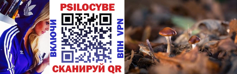 дарк нет как зайти  Ленинградская  Псилоцибиновые грибы Psilocybine cubensis  что такое наркотик 