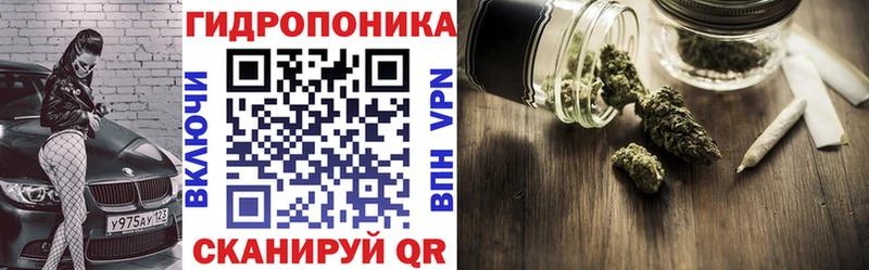 где купить   Ленинградская  Бошки Шишки THC 21% 